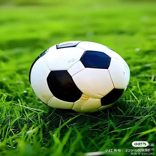 阿森纳承受争冠压力全队团结应对